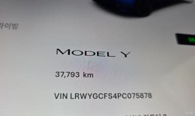 Model Y