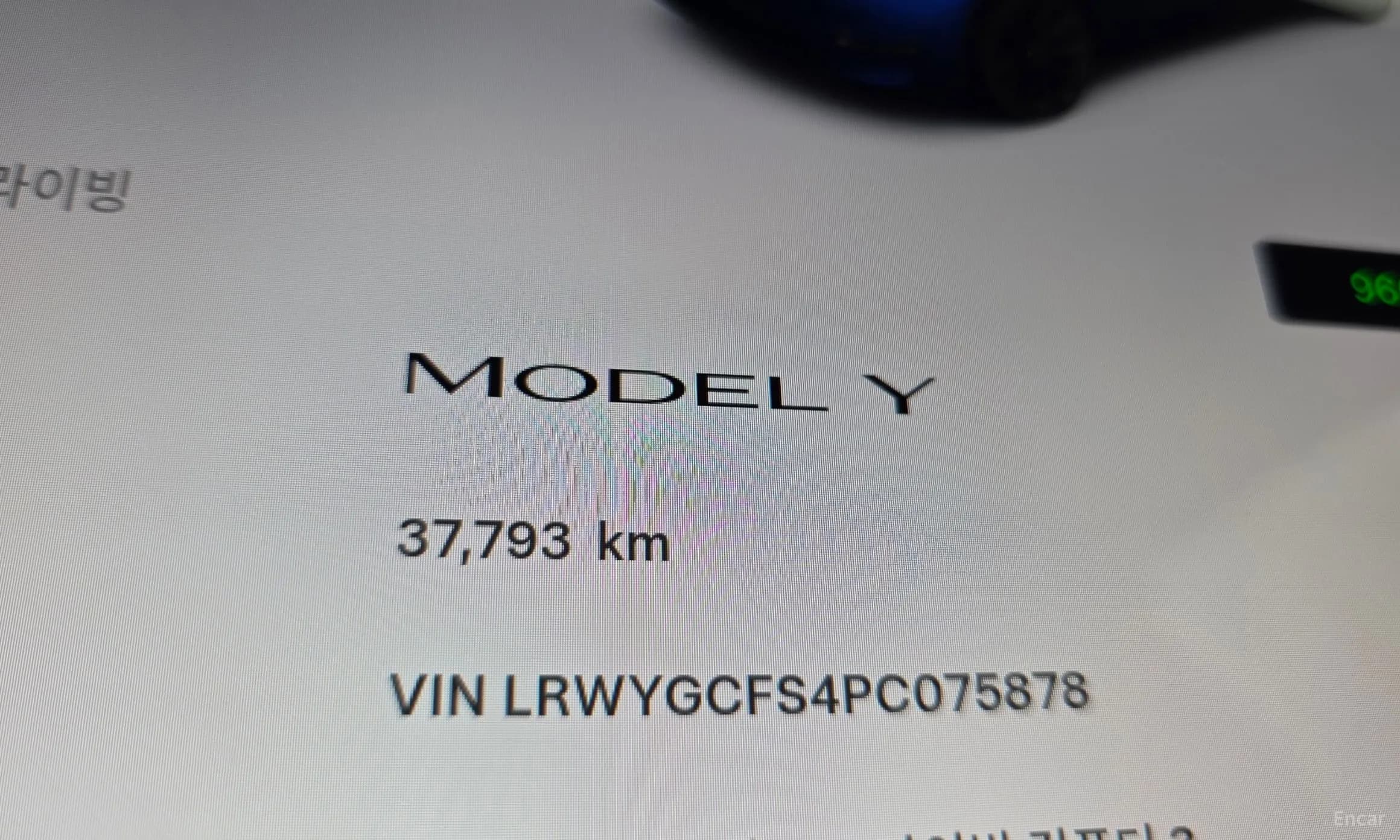 Model Y