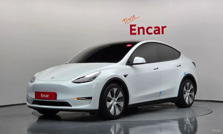 Model Y
