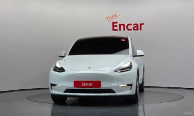 Model Y