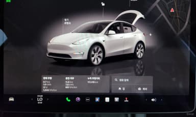 Model Y