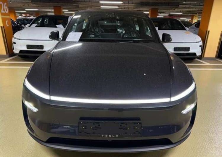 Model Y
