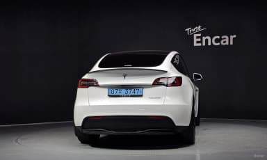 Model Y