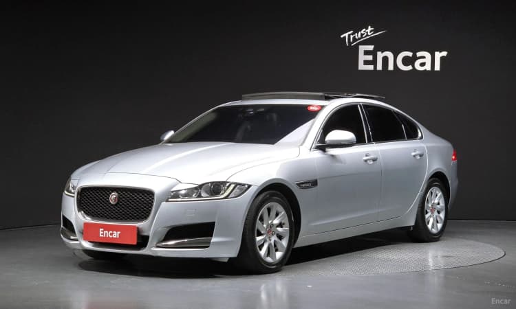 XF (x260)