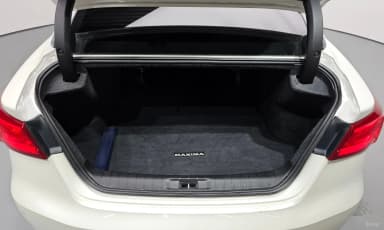 Maxima (A36)