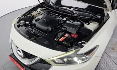 Maxima (A36)