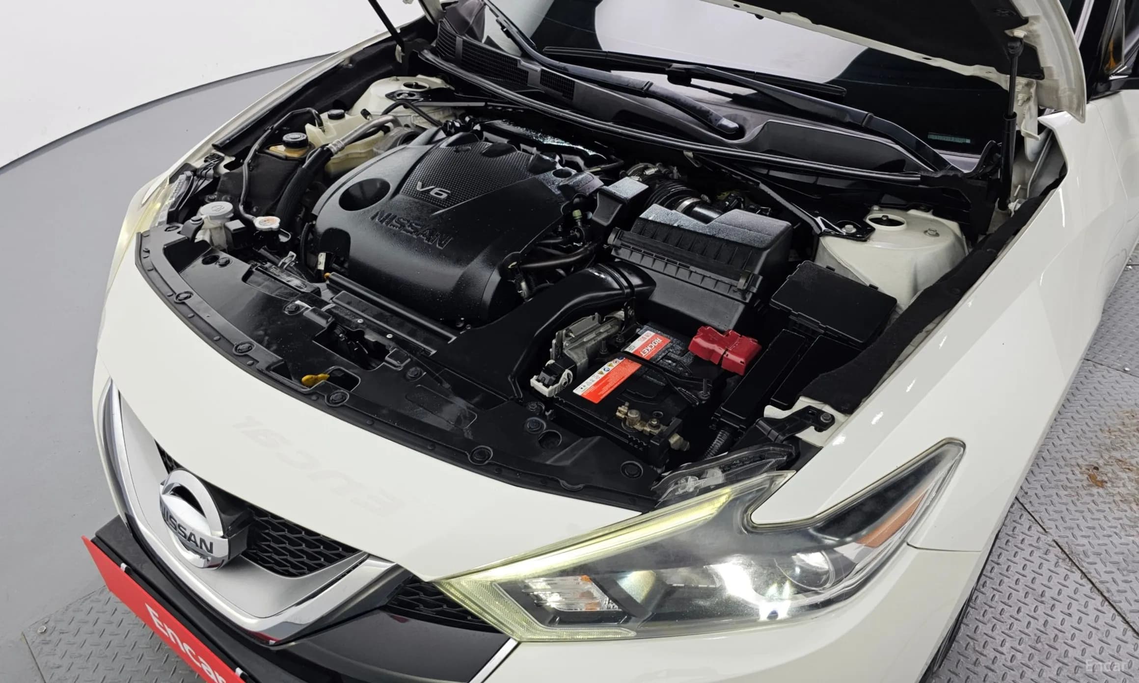 Maxima (A36)