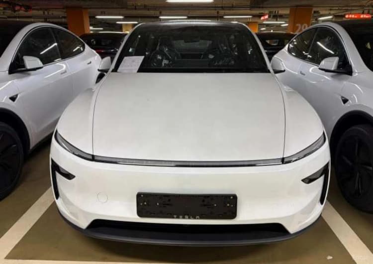 Model Y