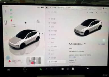 Model Y