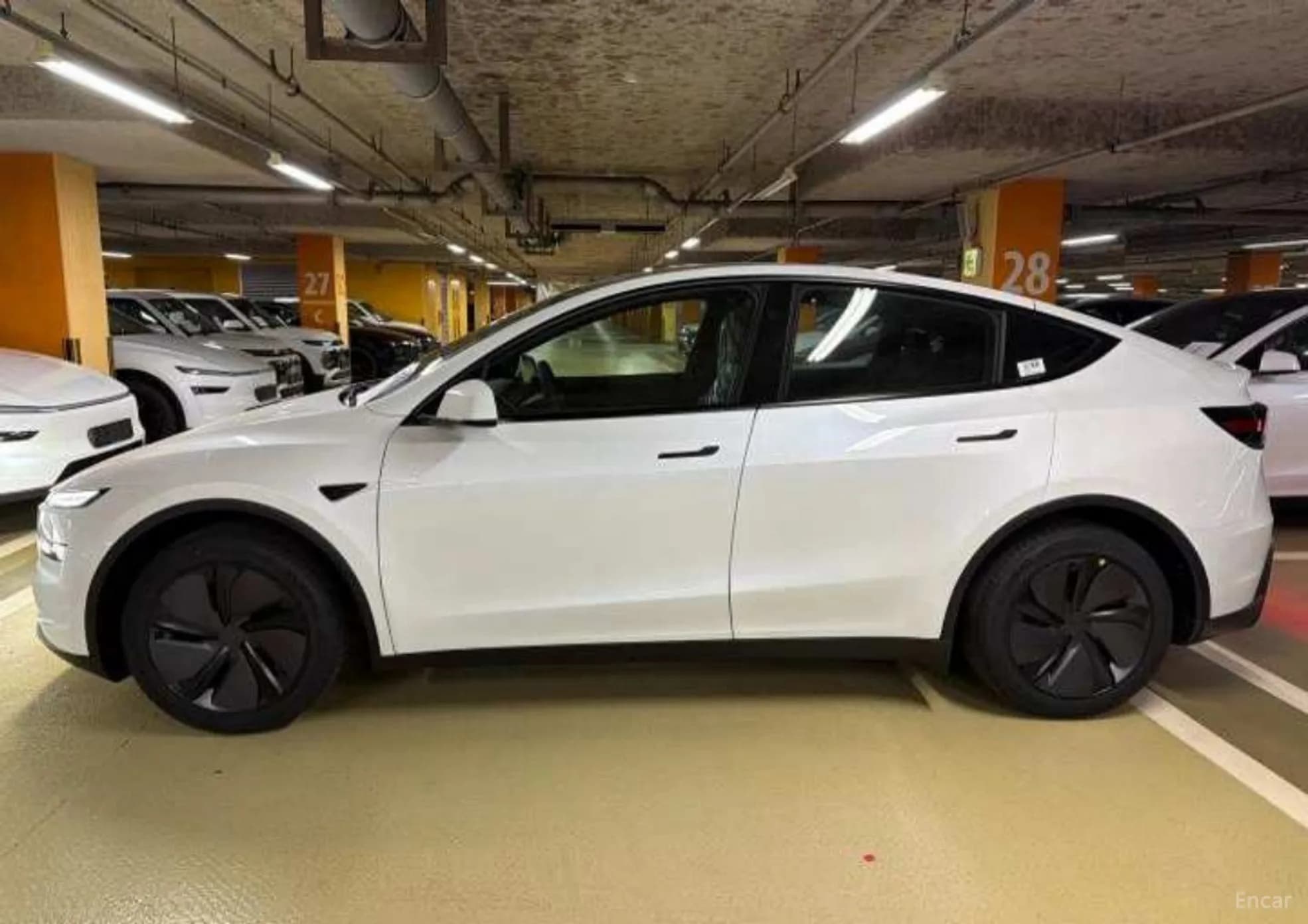 Model Y