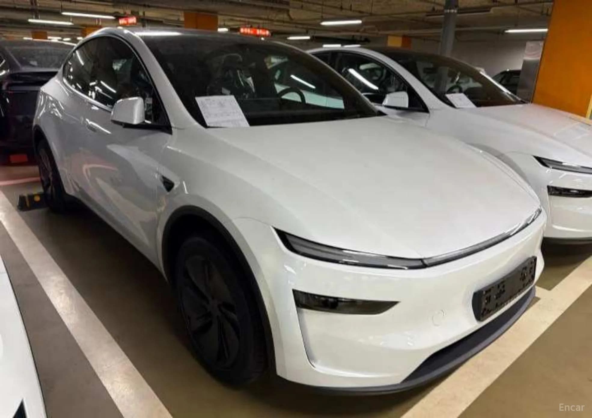 Model Y