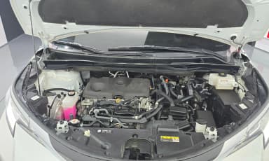 Siena 4th generation