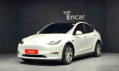 Model Y