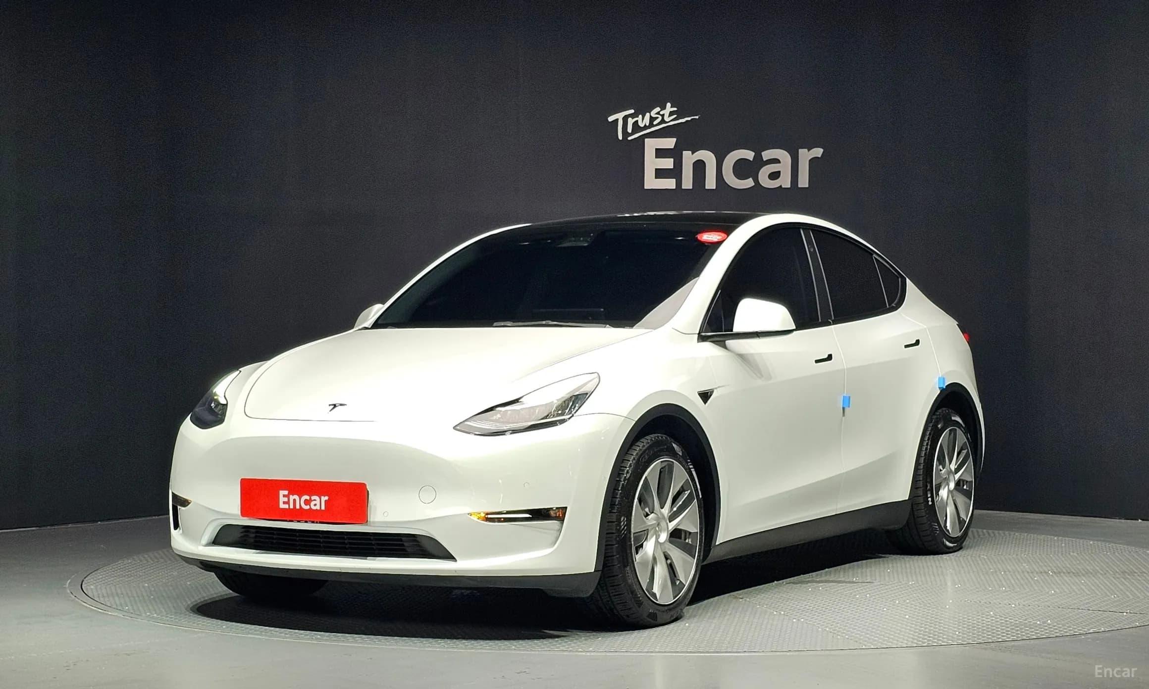 Model Y