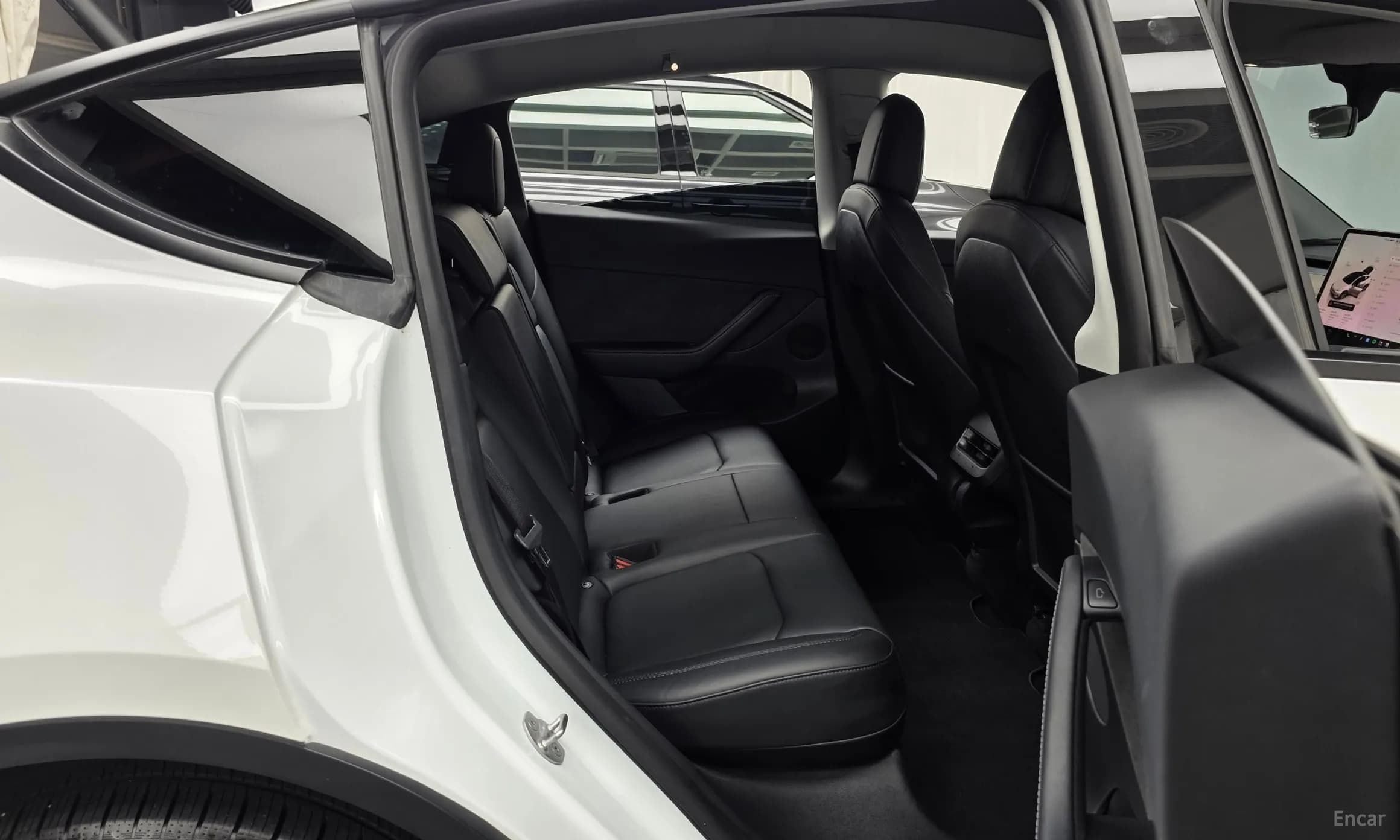 Model Y