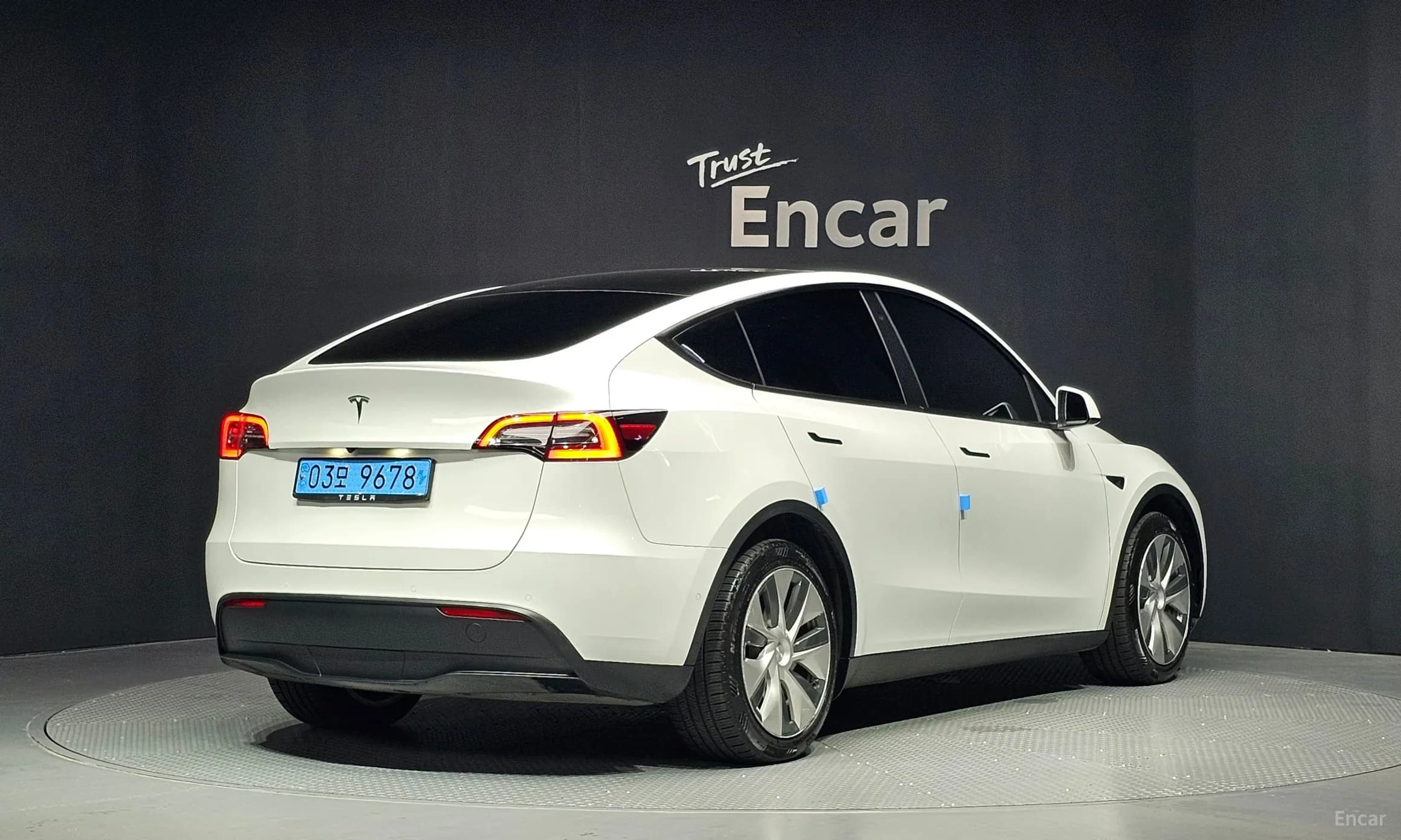 Model Y