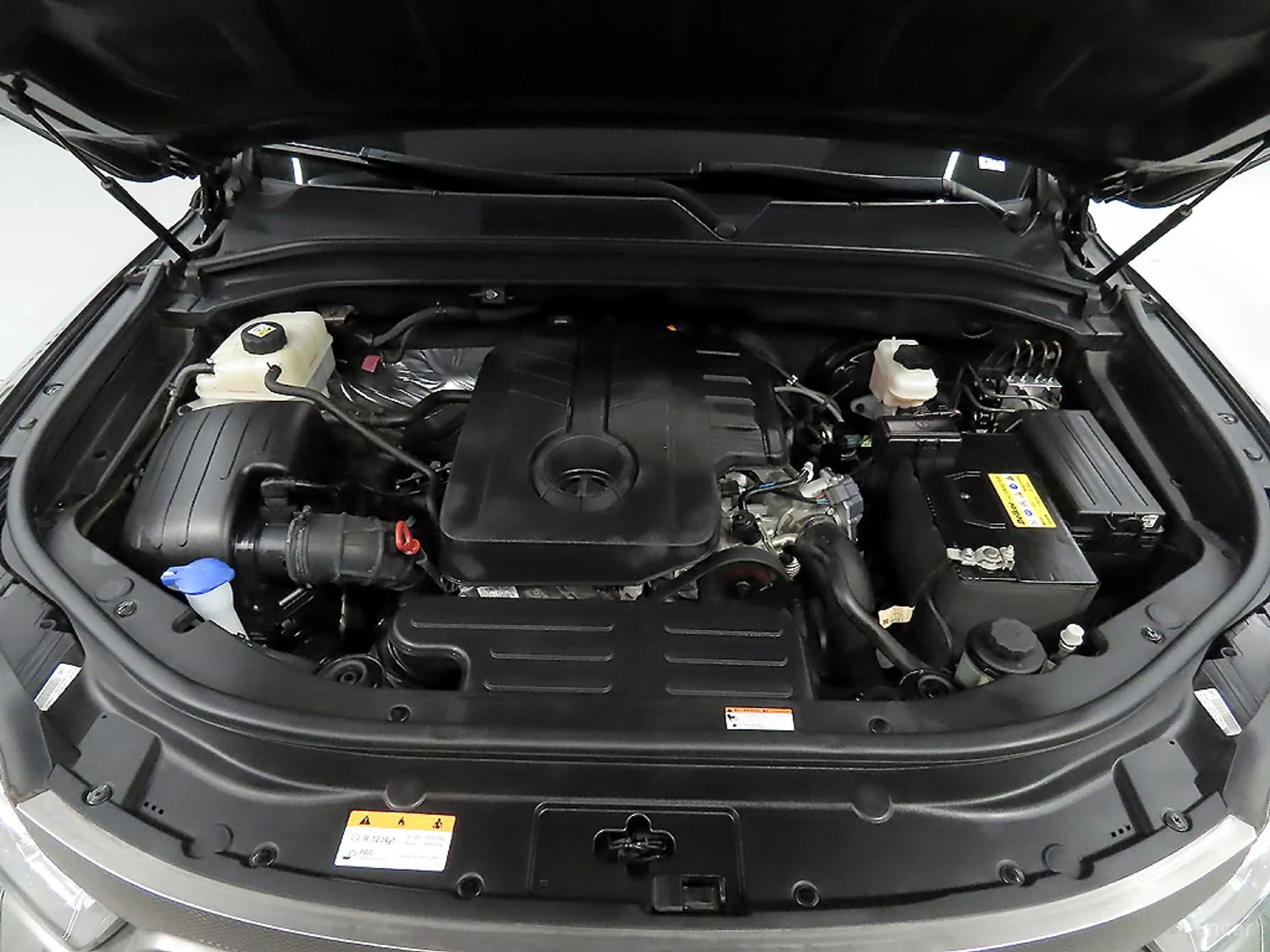 Rexton Sports