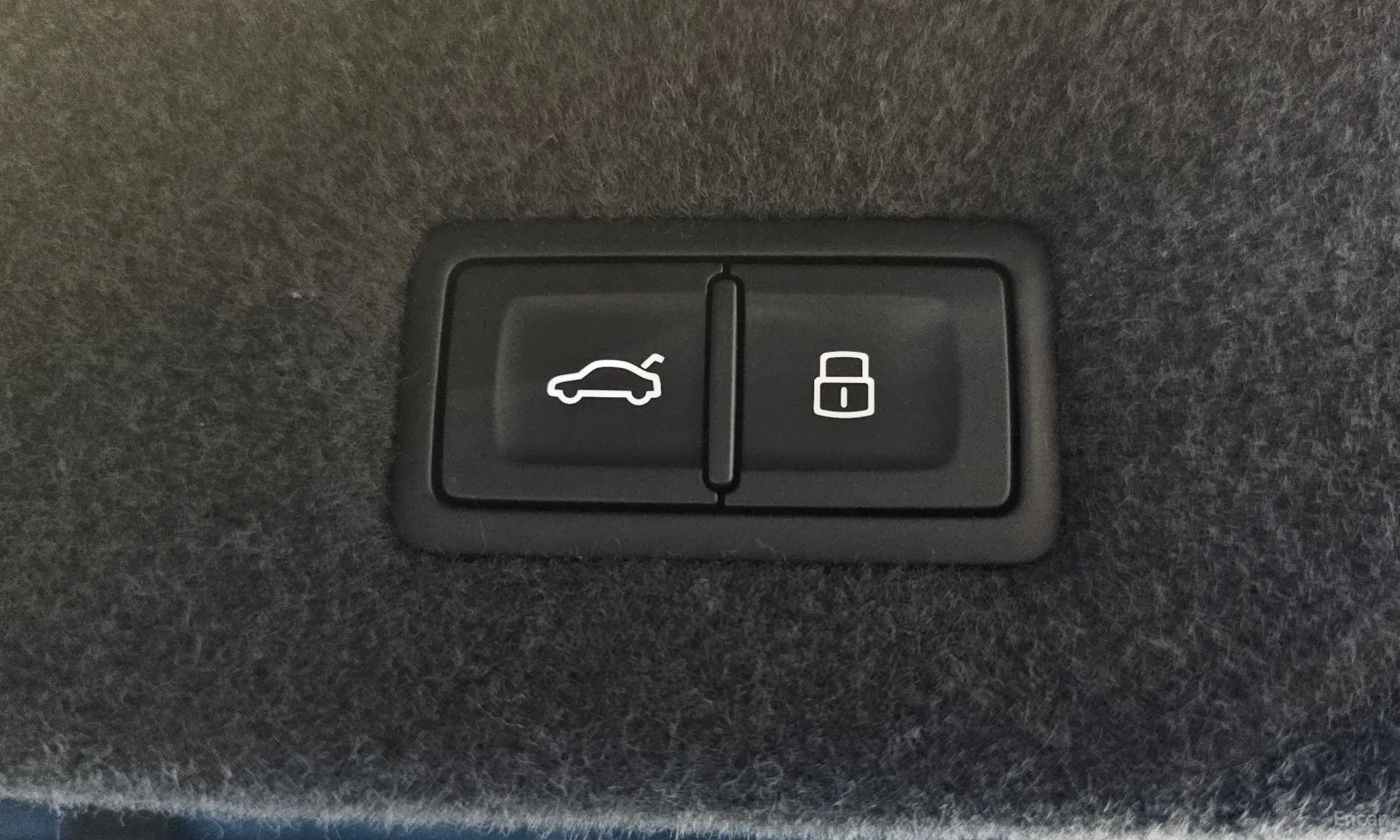 Urus