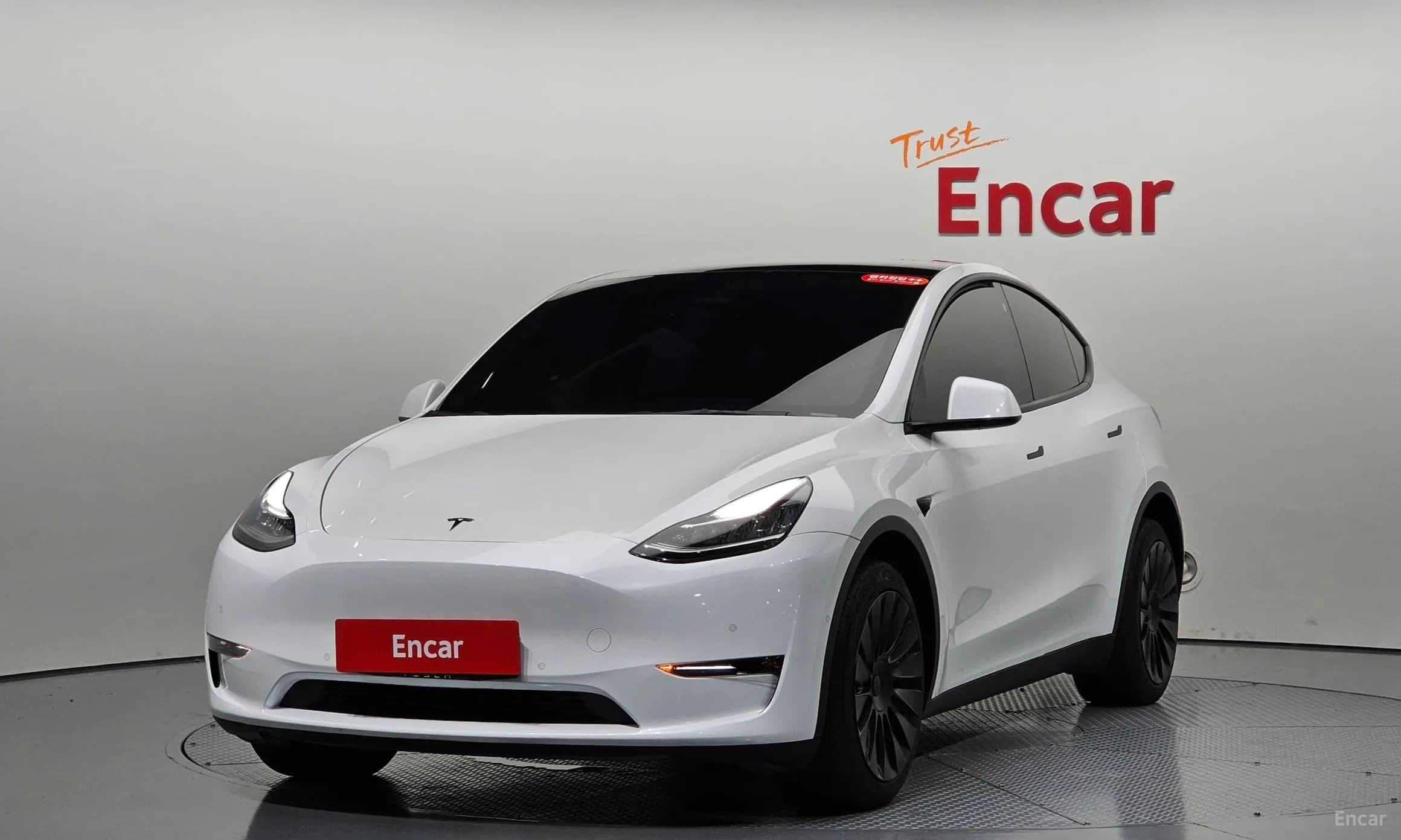Model Y
