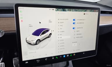 Model Y