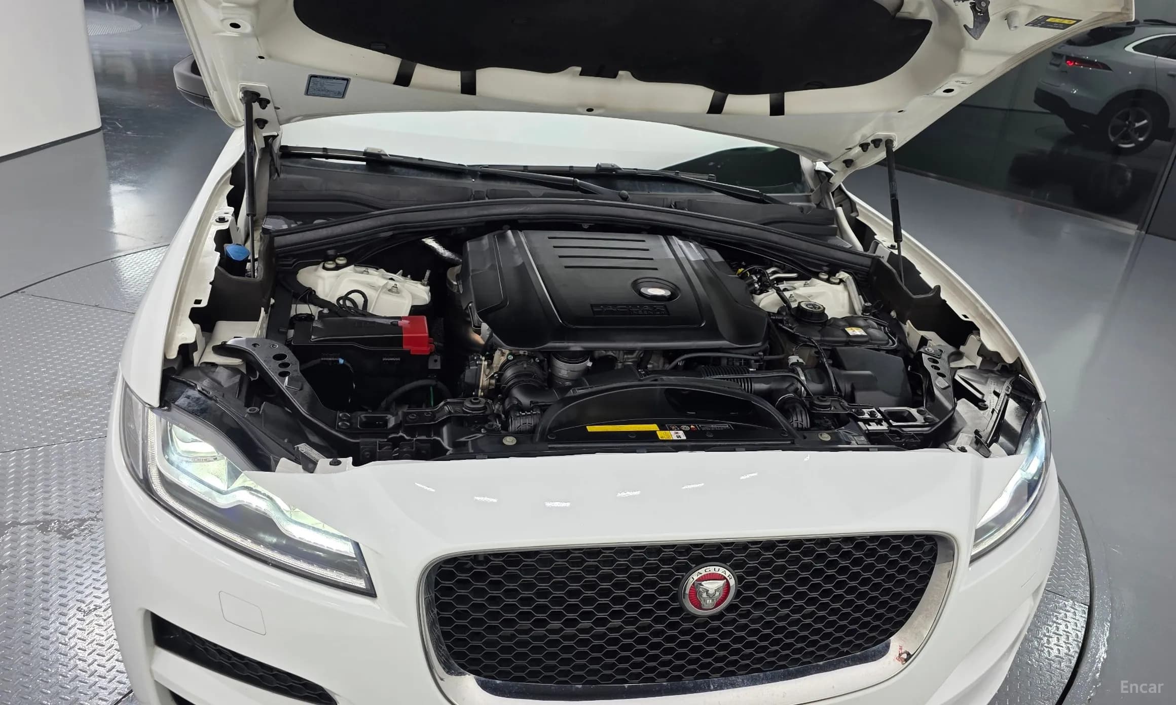 F-PACE
