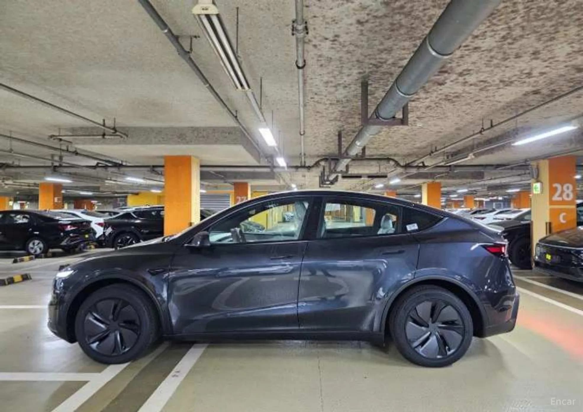 Model Y