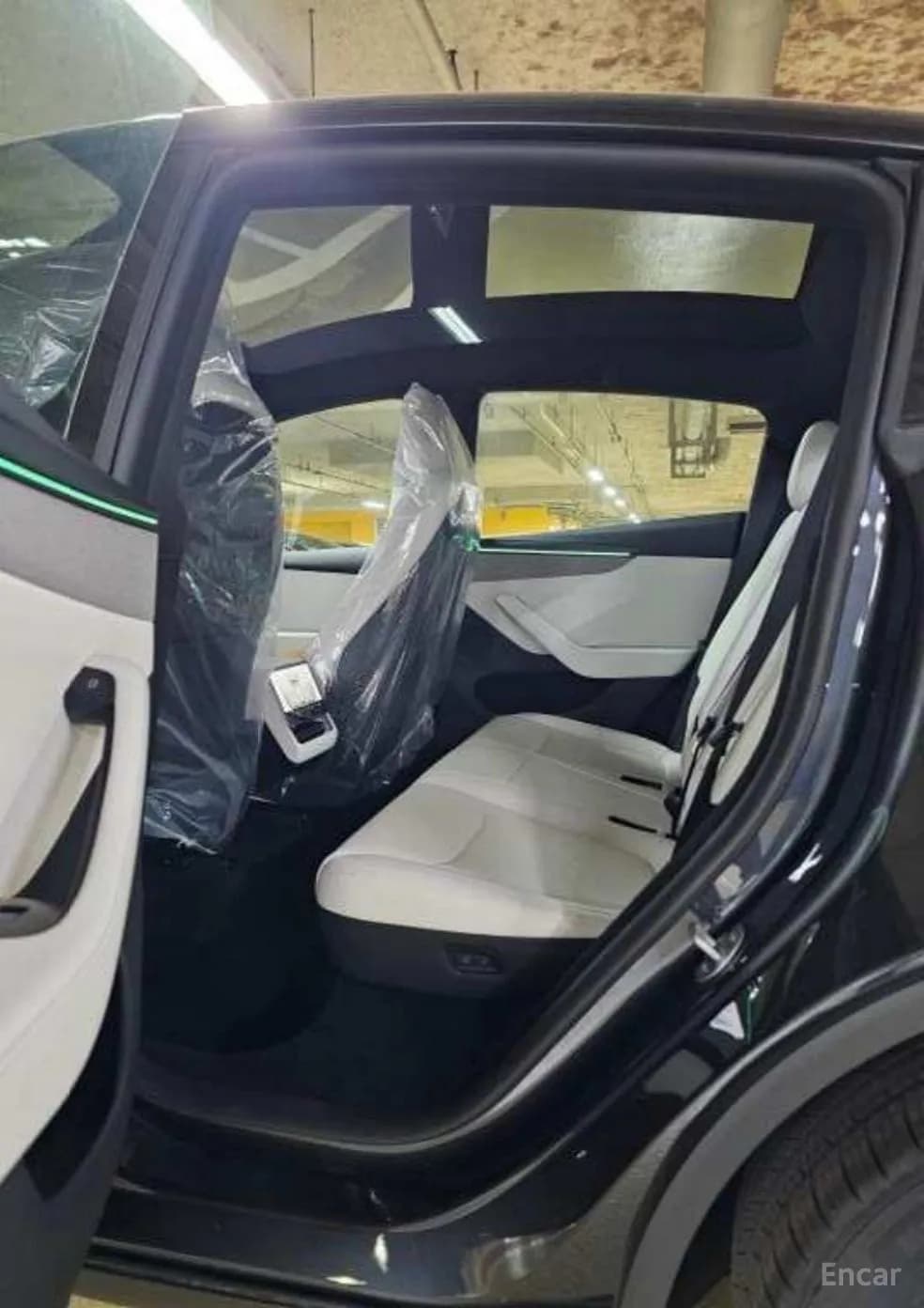 Model Y