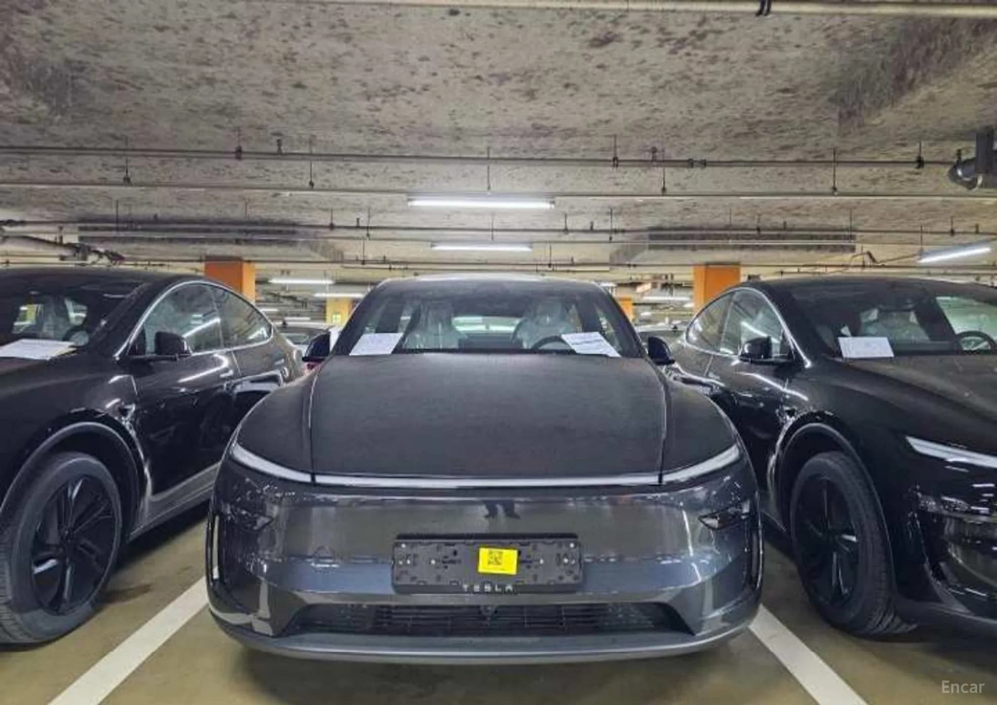 Model Y