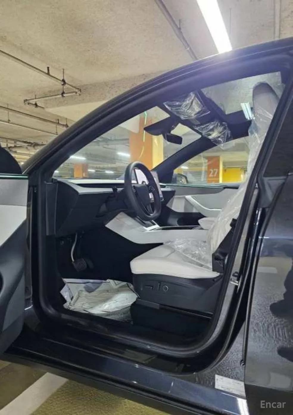 Model Y