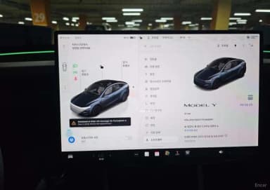 Model Y