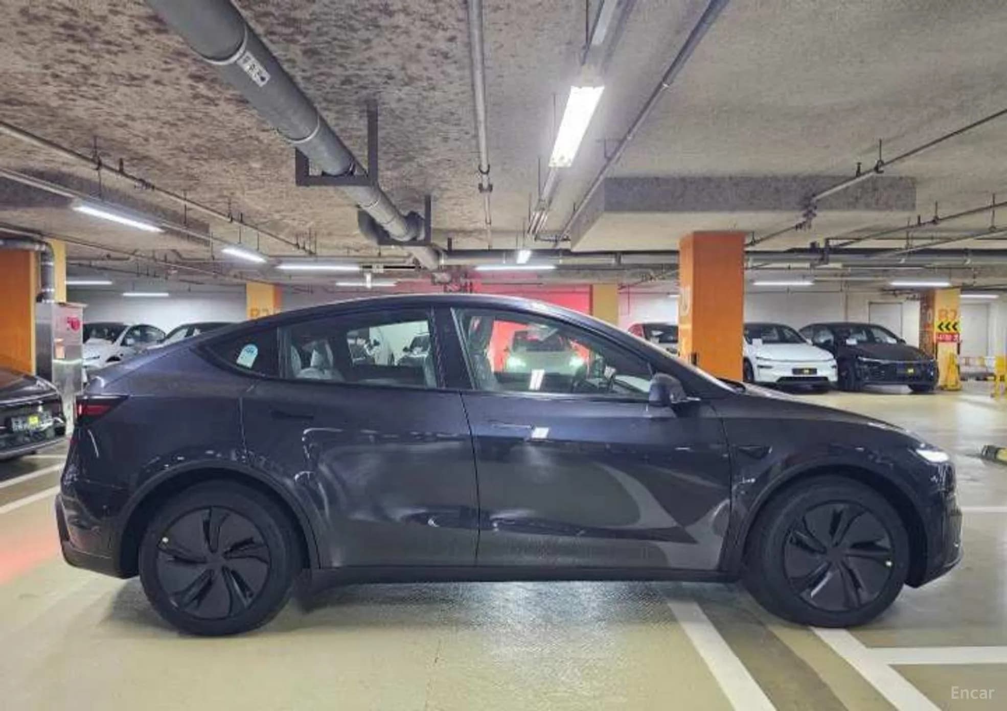 Model Y