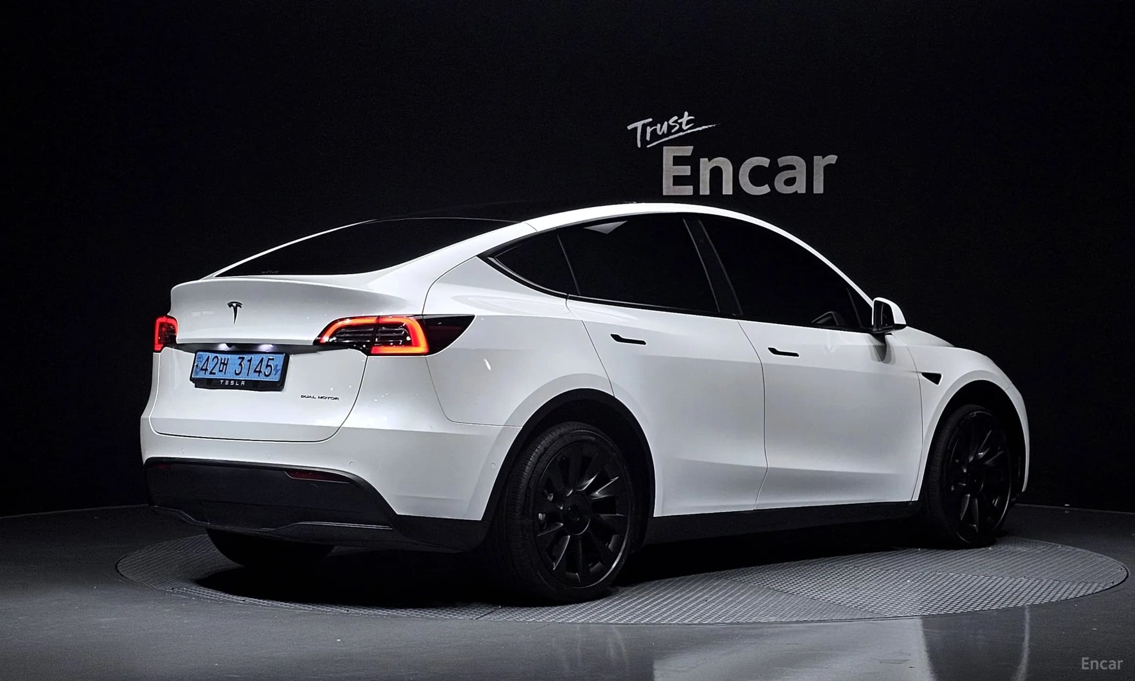 Model Y