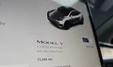 Model Y