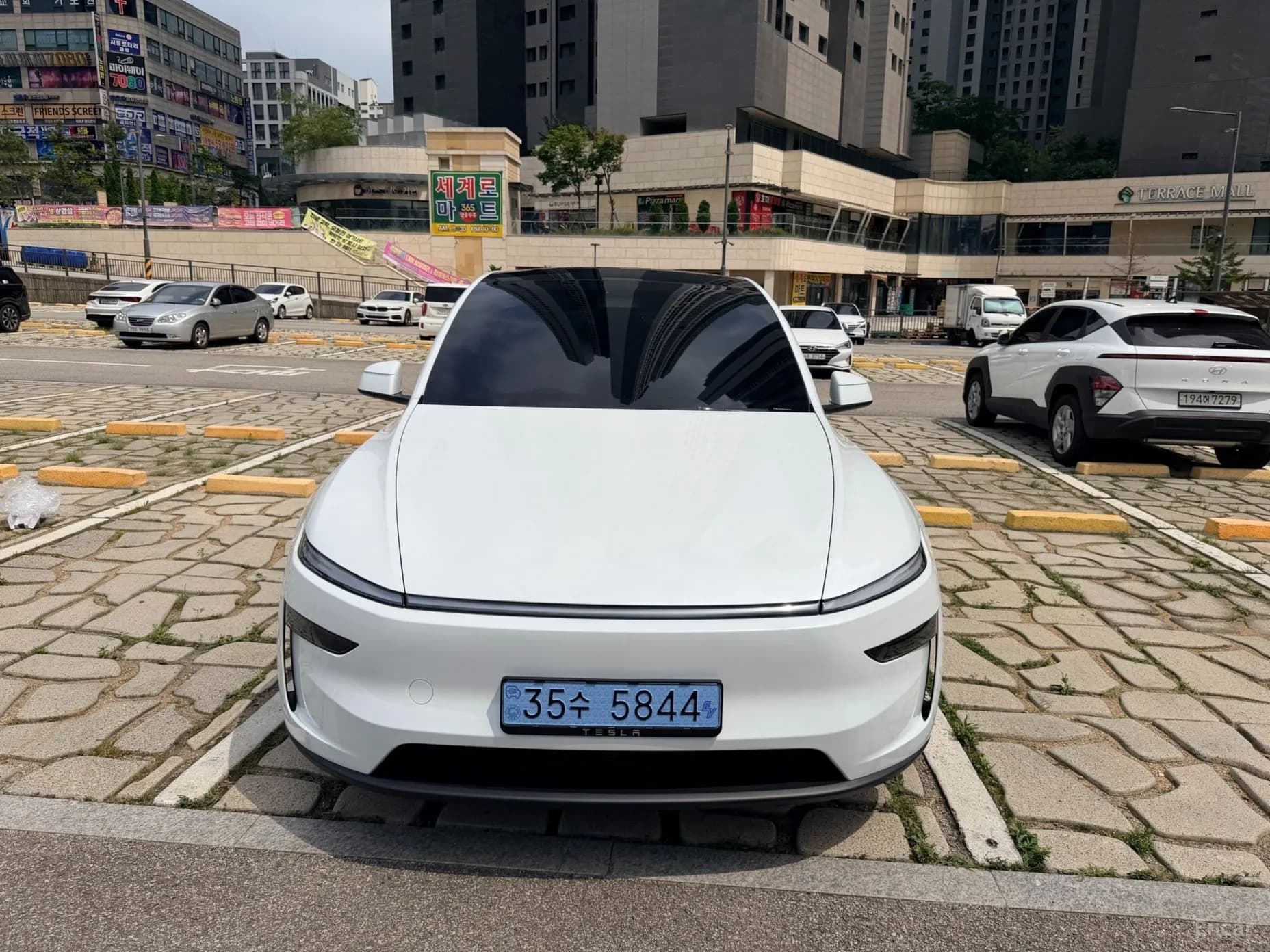 Model Y
