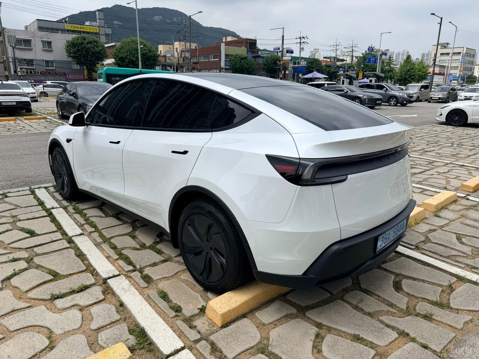 Model Y