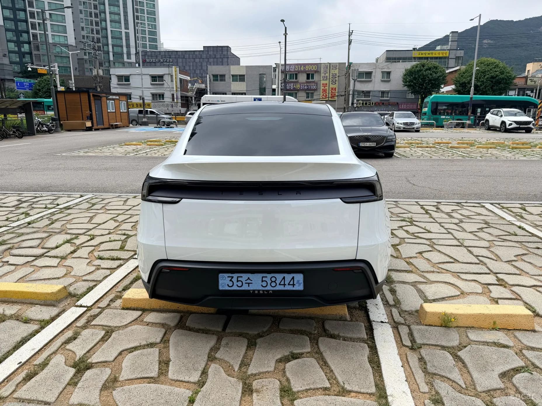 Model Y