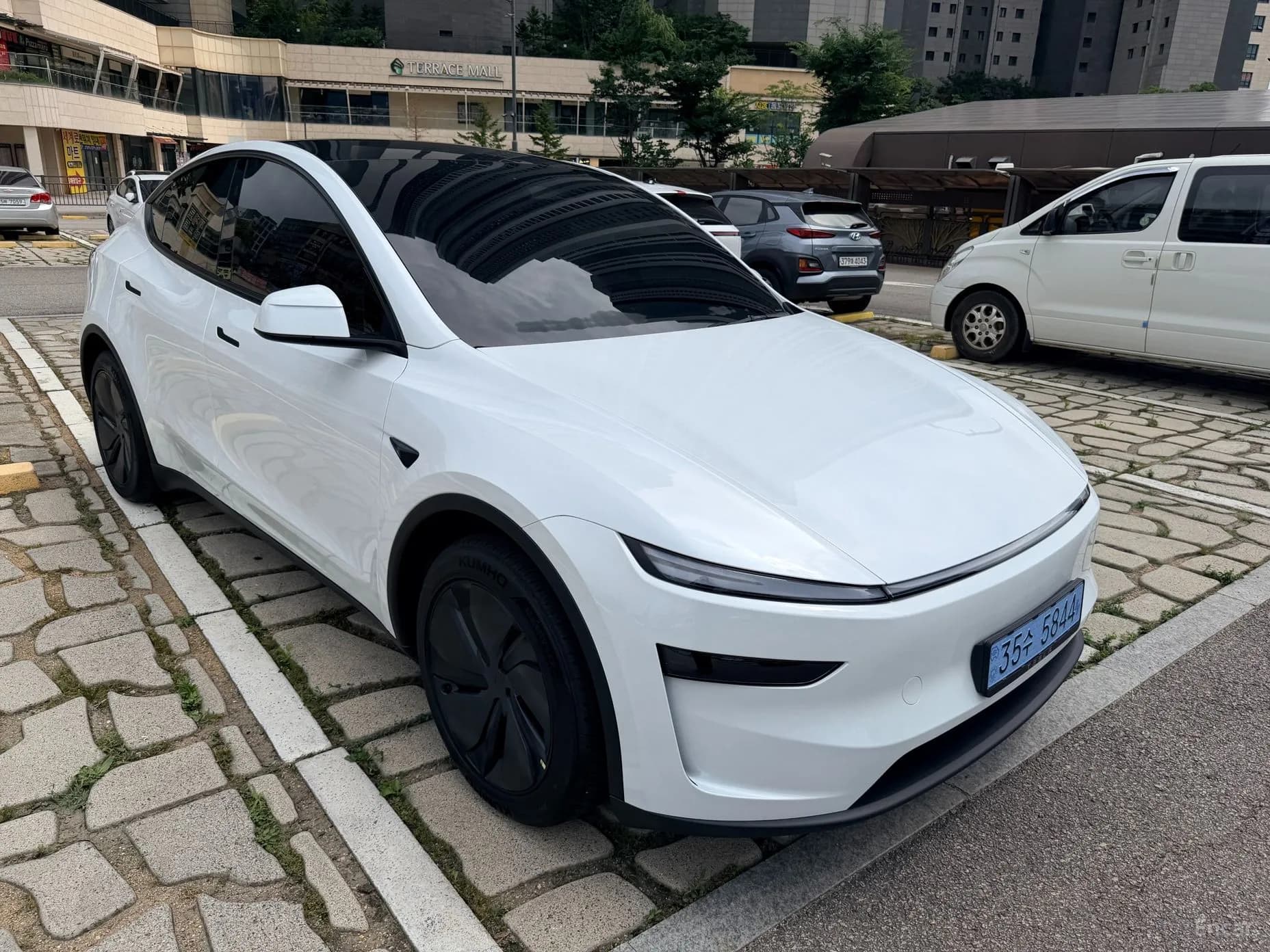 Model Y