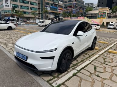 Model Y
