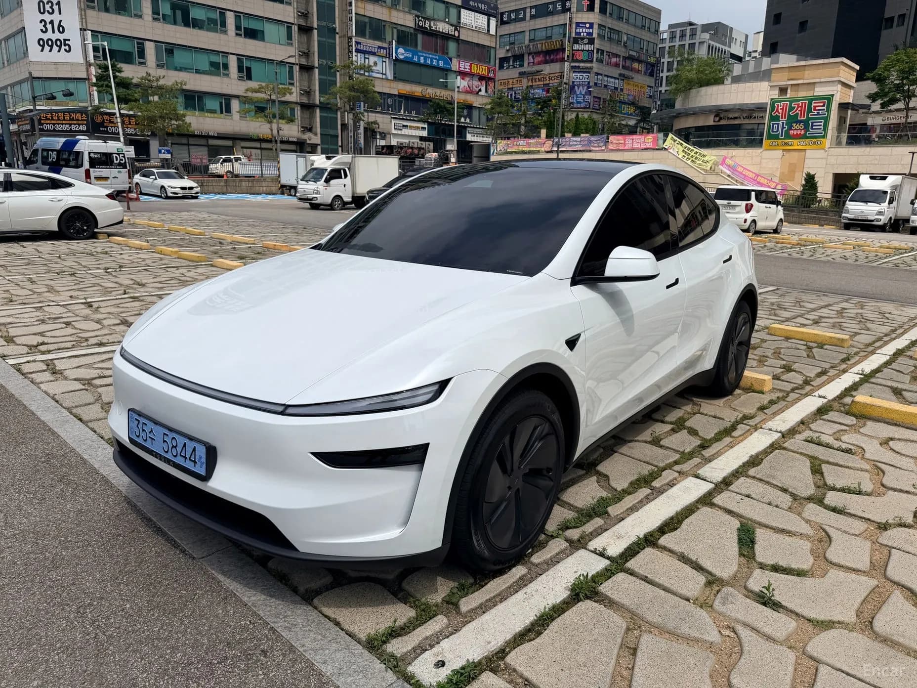 Model Y