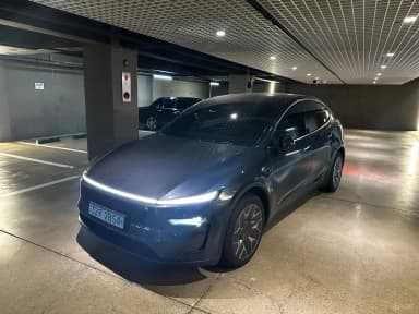Model Y