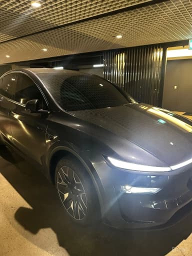 Model Y