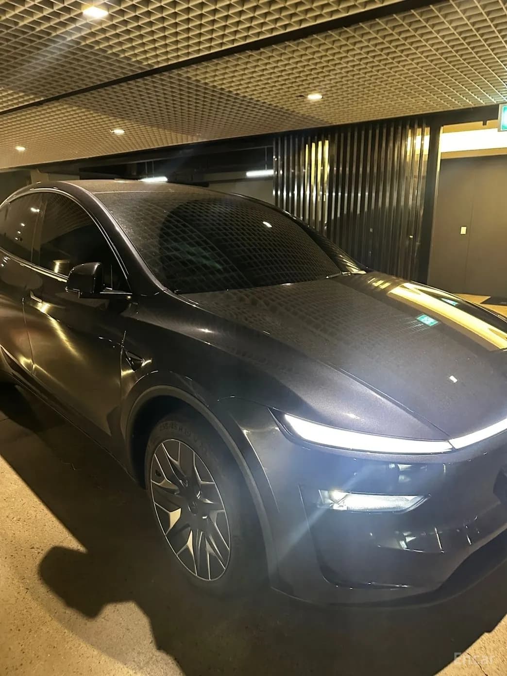 Model Y
