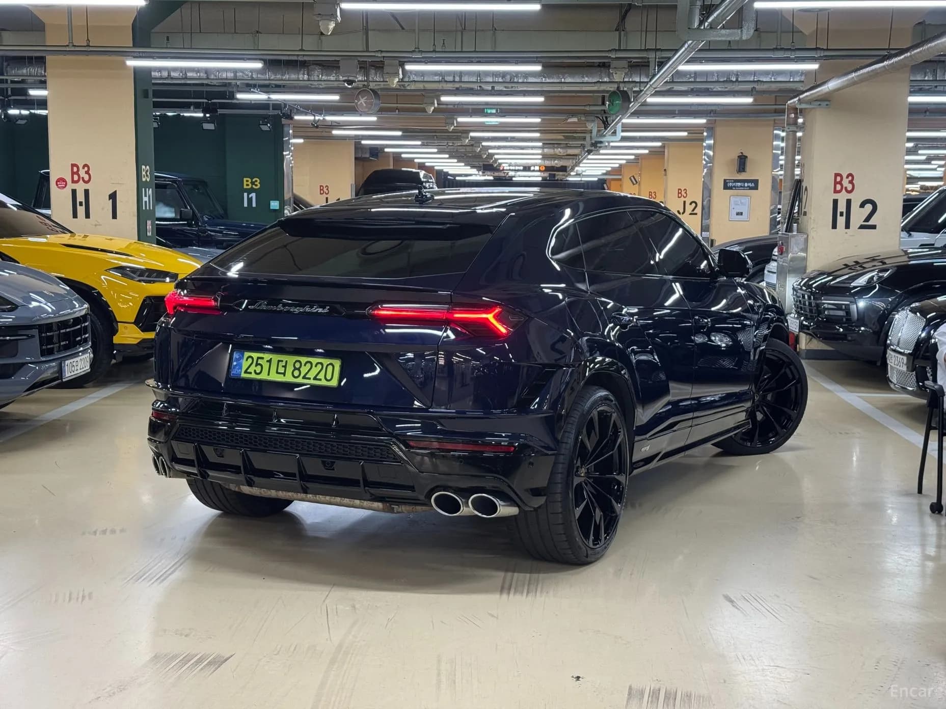 Urus