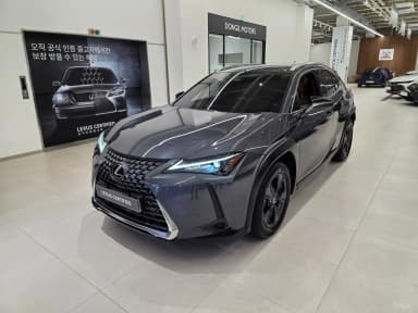 UX300h