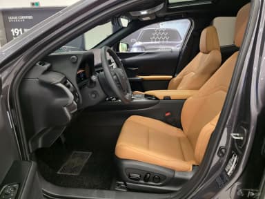 UX300h