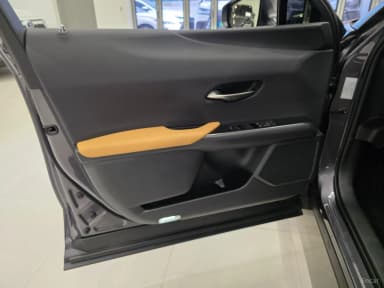 UX300h