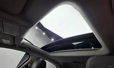 XF (x260)