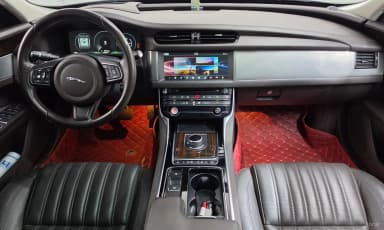 XF (x260)