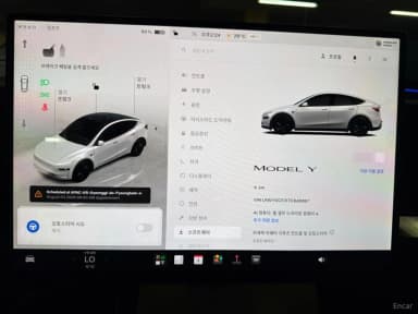 Model Y