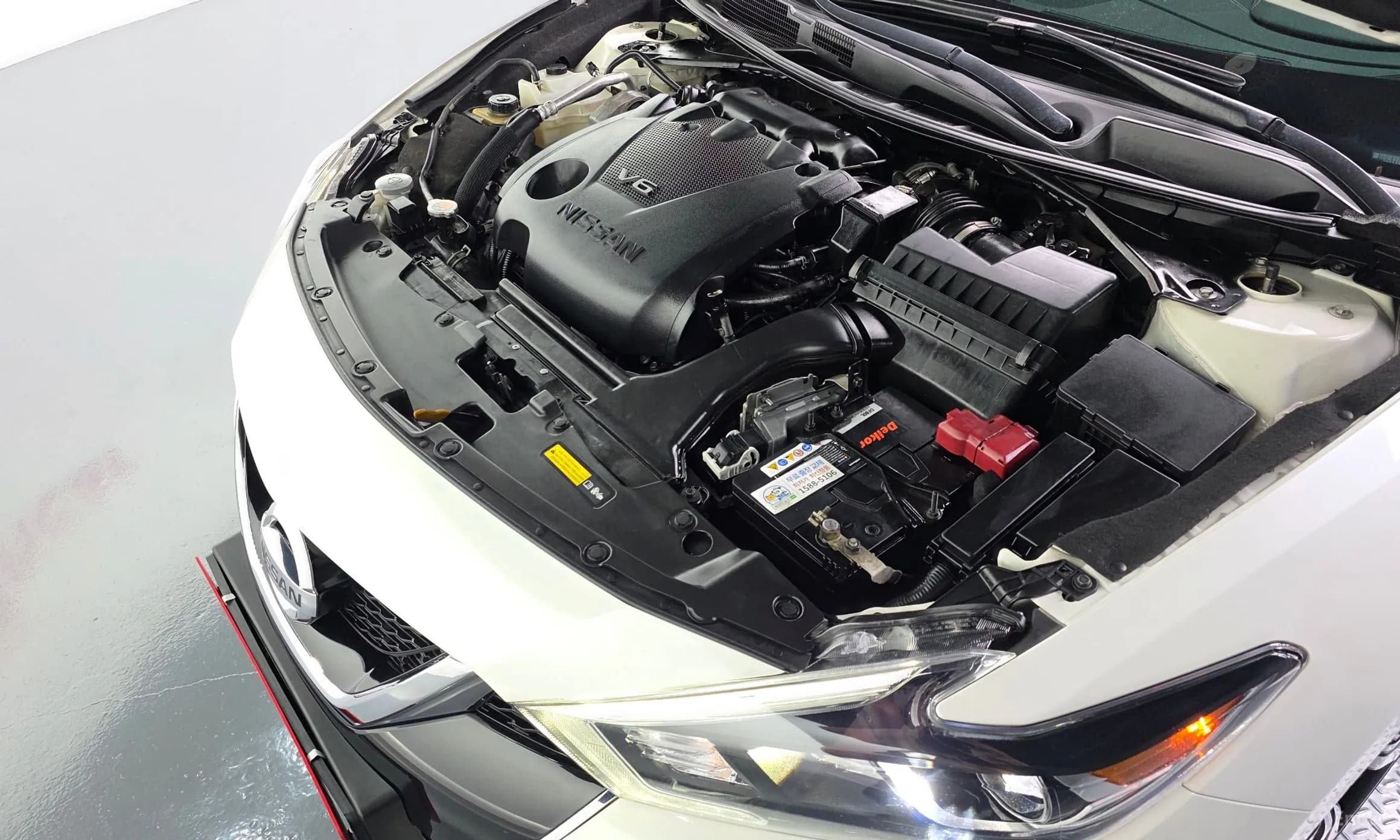 Maxima (A36)